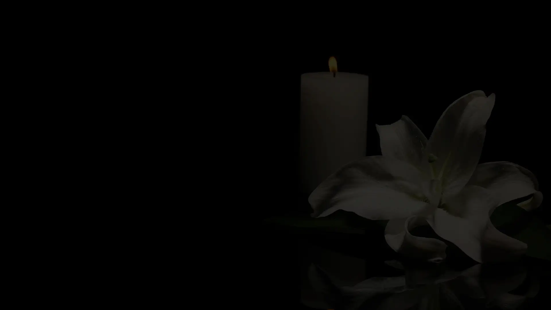 Świeca i kwiat - grafika.